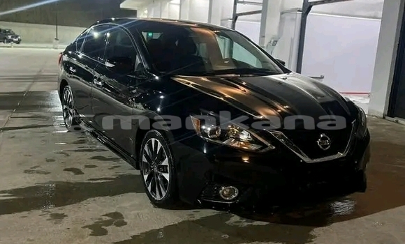 Buy Used Nissan Bluebird Sylphy Black Car in Batumi in Ajaria Buy Used Nissan Bluebird Sylphy Black Car in Batumi in Ajaria