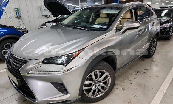 Buy Import Lexus NX Other Car in Tbilisi in Tbilisi