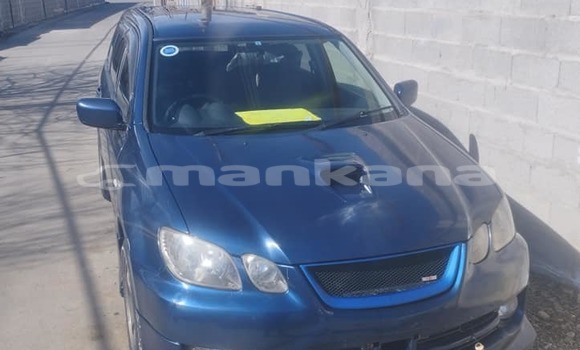 Buy Used Toyota 4Runner Blue Car in Tbilisi in Tbilisi