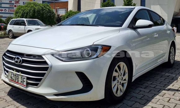 Buy Used Hyundai Elantra White Car in Tbilisi in Tbilisi Buy Used Hyundai Elantra White Car in Tbilisi in Tbilisi
