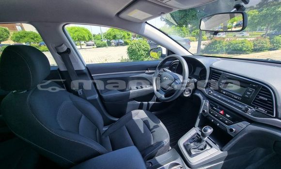 Buy Used Hyundai Elantra White Car in Tbilisi in Tbilisi Buy Used Hyundai Elantra White Car in Tbilisi in Tbilisi