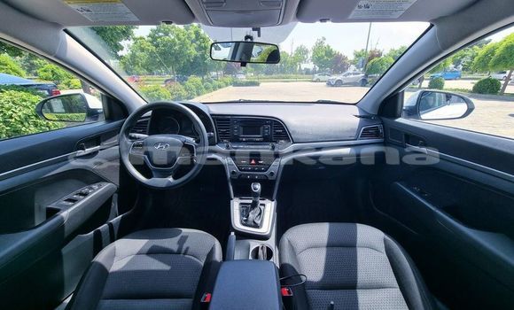 Buy Used Hyundai Elantra White Car in Tbilisi in Tbilisi Buy Used Hyundai Elantra White Car in Tbilisi in Tbilisi