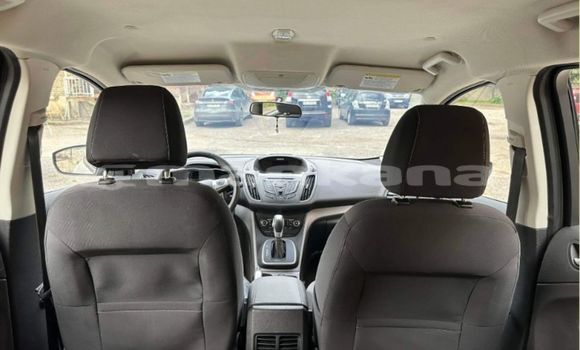 Buy Used Ford C-MAX Other Car in Tbilisi in Tbilisi Buy Used Ford C-MAX Other Car in Tbilisi in Tbilisi