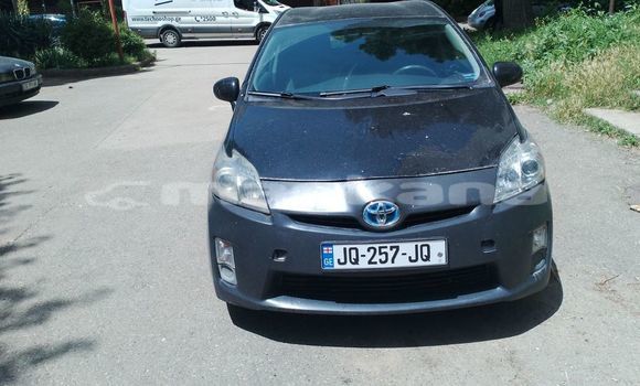 Buy Used Toyota Prius Black Car in Tbilisi in Tbilisi Buy Used Toyota Prius Black Car in Tbilisi in Tbilisi