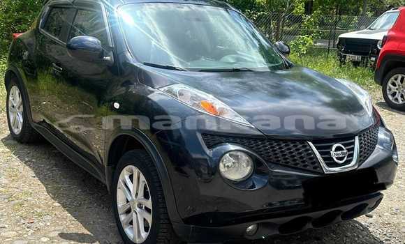 Buy Used Nissan Juke Black Car in Tbilisi in Tbilisi Buy Used Nissan Juke Black Car in Tbilisi in Tbilisi