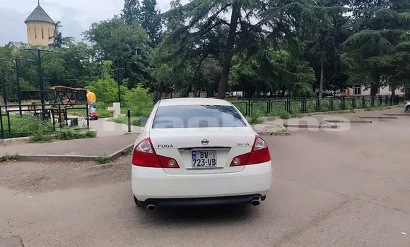 Buy Used Nissan Fuga White Car in Batumi in Ajaria Buy Used Nissan Fuga White Car in Batumi in Ajaria