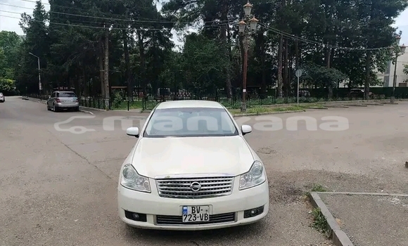 Buy Used Nissan Fuga White Car in Batumi in Ajaria Buy Used Nissan Fuga White Car in Batumi in Ajaria