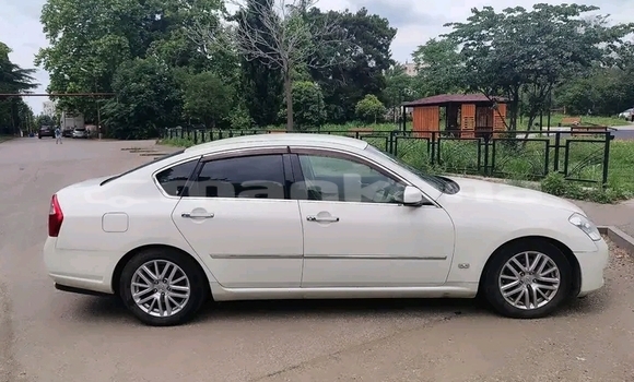 Buy Used Nissan Fuga White Car in Batumi in Ajaria Buy Used Nissan Fuga White Car in Batumi in Ajaria