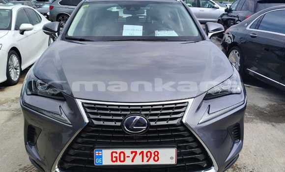 Buy Import Lexus NX Silver Car in Tbilisi in Tbilisi