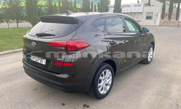 Buy Used Hyundai Tucson Other Car in Cnori in Kaheti Buy Used Hyundai Tucson Other Car in Cnori in Kaheti
