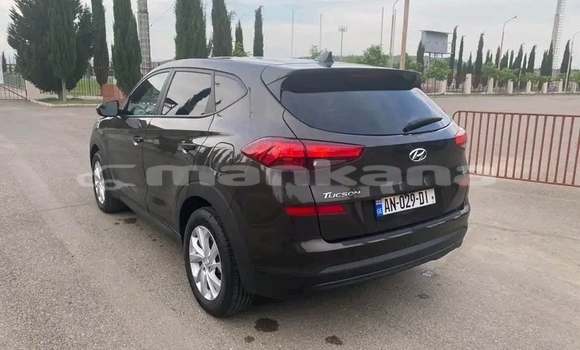 Buy Used Hyundai Tucson Other Car in Cnori in Kaheti Buy Used Hyundai Tucson Other Car in Cnori in Kaheti