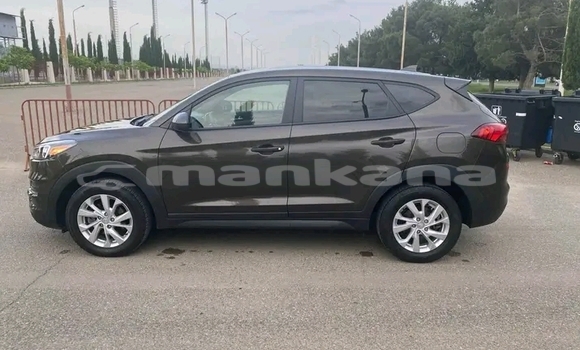 Buy Used Hyundai Tucson Other Car in Cnori in Kaheti Buy Used Hyundai Tucson Other Car in Cnori in Kaheti