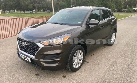 Buy Used Hyundai Tucson Other Car in Cnori in Kaheti Buy Used Hyundai Tucson Other Car in Cnori in Kaheti