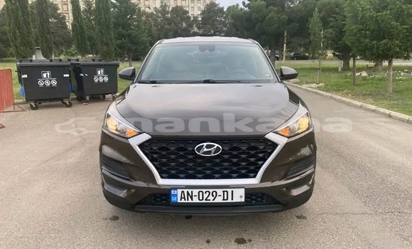 Buy Used Hyundai Tucson Other Car in Cnori in Kaheti Buy Used Hyundai Tucson Other Car in Cnori in Kaheti