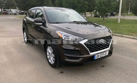 Buy Used Hyundai Tucson Other Car in Cnori in Kaheti Buy Used Hyundai Tucson Other Car in Cnori in Kaheti