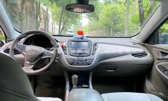 Buy Used BMW 3er Other Car in Dusheti in Mcheta-Mtianeti