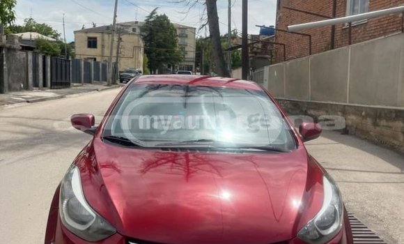 Buy Used Hyundai Elantra Red Car in Ambrolauri in Racha Buy Used Hyundai Elantra Red Car in Ambrolauri in Racha