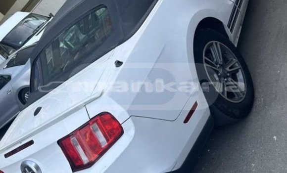 Buy Used Ford Mustang White Car in Tbilisi in Tbilisi Buy Used Ford Mustang White Car in Tbilisi in Tbilisi