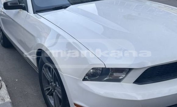 Buy Used Ford Mustang White Car in Tbilisi in Tbilisi Buy Used Ford Mustang White Car in Tbilisi in Tbilisi