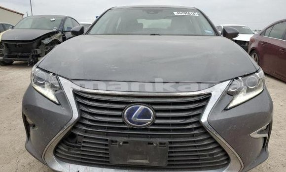 Buy Used Lexus ES Other Car in Tbilisi in Tbilisi Buy Used Lexus ES Other Car in Tbilisi in Tbilisi