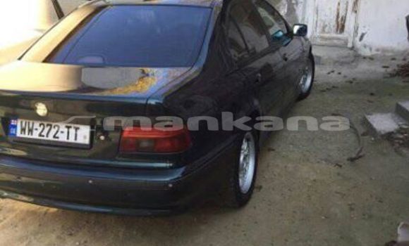 Buy Used BMW 5–Series Black Car in Tbilisi in Tbilisi