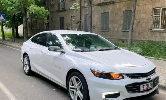 Buy Used BMW 2er Active Tourer White Car in Bihvinta in Abhasia Buy Used BMW 2er Active Tourer White Car in Bihvinta in Abhasia