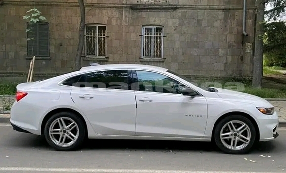 Buy Used BMW 2er Active Tourer White Car in Bihvinta in Abhasia Buy Used BMW 2er Active Tourer White Car in Bihvinta in Abhasia