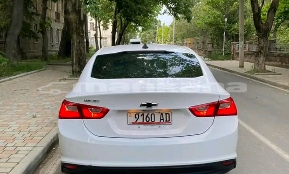 Buy Used BMW 2er Active Tourer White Car in Bihvinta in Abhasia Buy Used BMW 2er Active Tourer White Car in Bihvinta in Abhasia