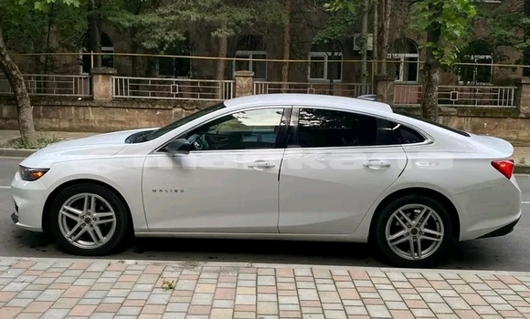 Buy Used BMW 2er Active Tourer White Car in Bihvinta in Abhasia Buy Used BMW 2er Active Tourer White Car in Bihvinta in Abhasia