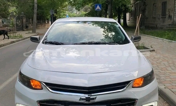 Buy Used BMW 2er Active Tourer White Car in Bihvinta in Abhasia Buy Used BMW 2er Active Tourer White Car in Bihvinta in Abhasia
