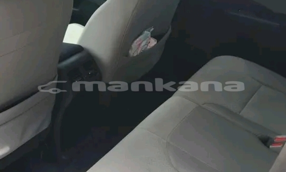 Buy Used Honda CR–V Other Car in Batumi in Ajaria Buy Used Honda CR–V Other Car in Batumi in Ajaria