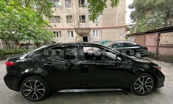 Buy Used BMW 3er Black Car in Batumi in Ajaria Buy Used BMW 3er Black Car in Batumi in Ajaria