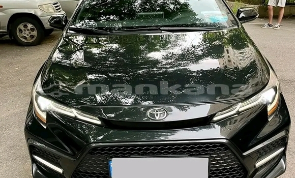 Buy Used BMW 3er Black Car in Batumi in Ajaria Buy Used BMW 3er Black Car in Batumi in Ajaria