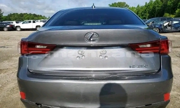 Buy Used Lexus IS Black Car in Batumi in Ajaria Buy Used Lexus IS Black Car in Batumi in Ajaria