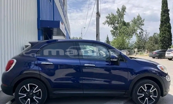 Buy Used Nissan Expert Other Car in Batumi in Ajaria Buy Used Nissan Expert Other Car in Batumi in Ajaria