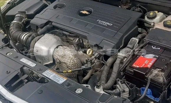 Buy Used Nissan Almera Other Car in Batumi in Ajaria Buy Used Nissan Almera Other Car in Batumi in Ajaria