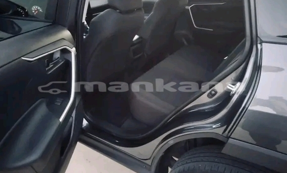Buy Used Toyota RAV4 Other Car in Borzhomi in Samche-Zhavaheti