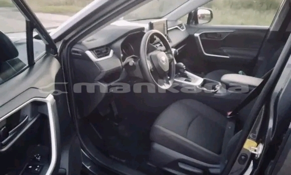 Buy Used Toyota RAV4 Other Car in Borzhomi in Samche-Zhavaheti Buy Used Toyota RAV4 Other Car in Borzhomi in Samche-Zhavaheti