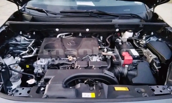 Buy Used Toyota RAV4 Other Car in Borzhomi in Samche-Zhavaheti Buy Used Toyota RAV4 Other Car in Borzhomi in Samche-Zhavaheti