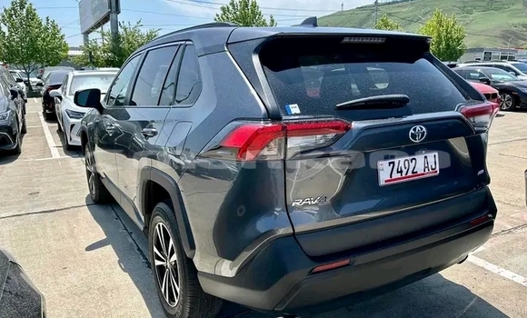 Buy Used Toyota RAV4 Other Car in Borzhomi in Samche-Zhavaheti Buy Used Toyota RAV4 Other Car in Borzhomi in Samche-Zhavaheti