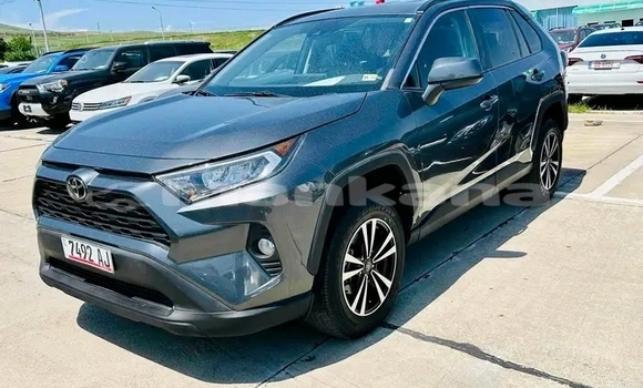 Buy Used Toyota RAV4 Other Car in Borzhomi in Samche-Zhavaheti Buy Used Toyota RAV4 Other Car in Borzhomi in Samche-Zhavaheti