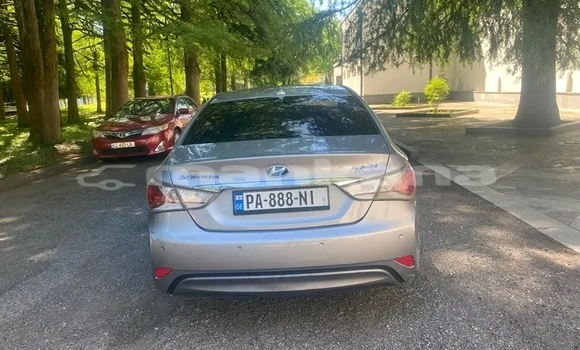 Buy Used Toyota Altis Other Car in Cnori in Kaheti Buy Used Toyota Altis Other Car in Cnori in Kaheti