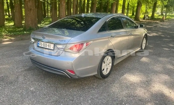 Buy Used Toyota Altis Other Car in Cnori in Kaheti Buy Used Toyota Altis Other Car in Cnori in Kaheti