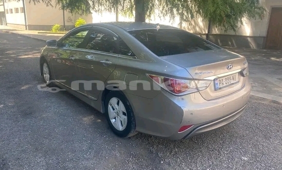 Buy Used Toyota Altis Other Car in Cnori in Kaheti Buy Used Toyota Altis Other Car in Cnori in Kaheti