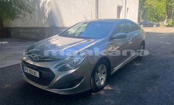 Buy Used Toyota Altis Other Car in Cnori in Kaheti Buy Used Toyota Altis Other Car in Cnori in Kaheti