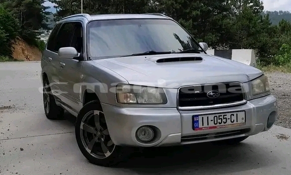 Buy Used Toyota Prado Other Car in Ahalkalaki in Samche-Zhavaheti Buy Used Toyota Prado Other Car in Ahalkalaki in Samche-Zhavaheti