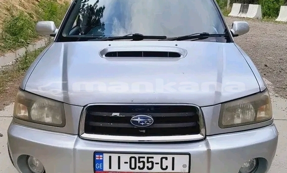 Buy Used Toyota Prado Other Car in Ahalkalaki in Samche-Zhavaheti Buy Used Toyota Prado Other Car in Ahalkalaki in Samche-Zhavaheti