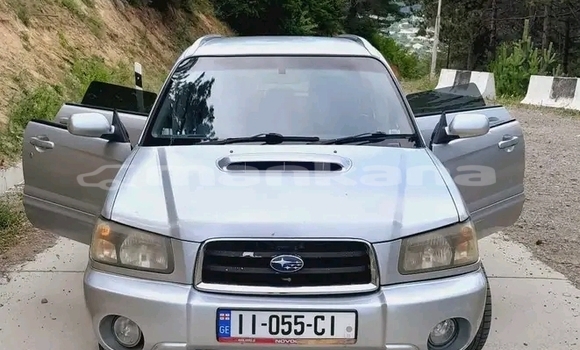 Buy Used Toyota Prado Other Car in Ahalkalaki in Samche-Zhavaheti Buy Used Toyota Prado Other Car in Ahalkalaki in Samche-Zhavaheti