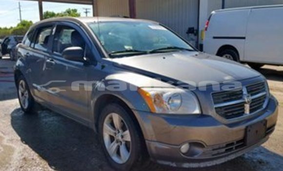 Buy Used Dodge Caliber Other Car in Tbilisi in Tbilisi