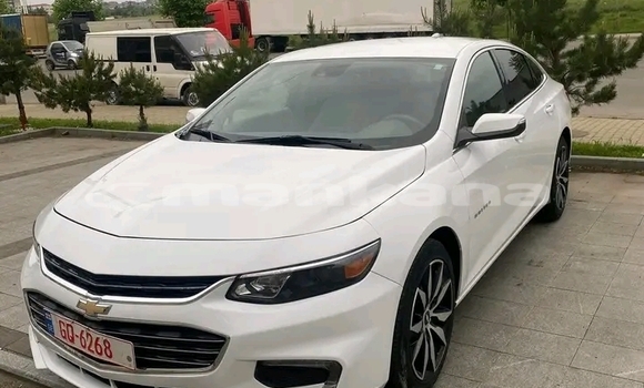 Buy Used Chevrolet Malibu White Car in Ahmeta in Kaheti